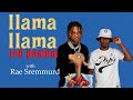 Rae sremmurd sings childrens book llama llama red pajama