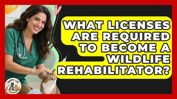 What Licenses Are Required To Become A Wildlife Rehabilitator? - Animal Care Jobs