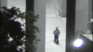 Alex Lustig - Divergence