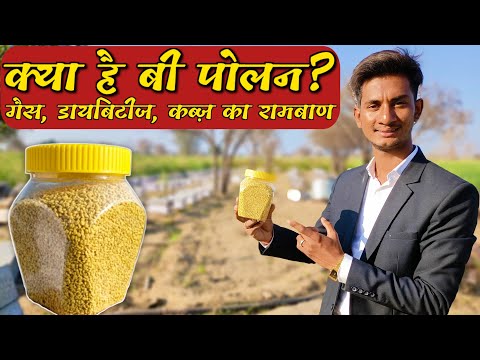 Bee pollen क्या होता है इसके खाने के क्या लाभ