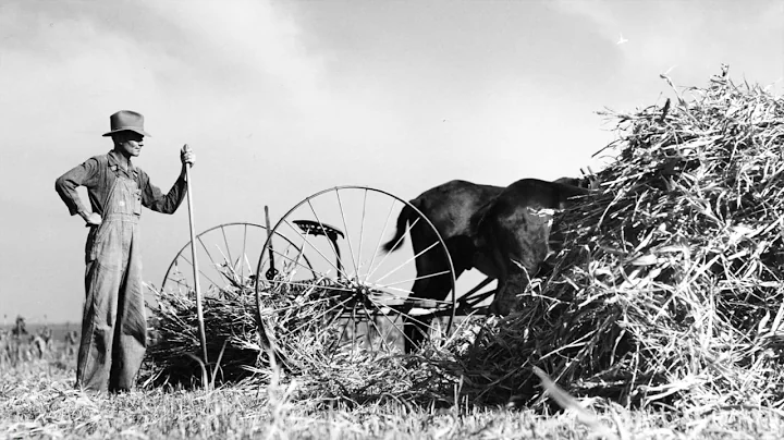 The Centennial Photographs of Polly Smith