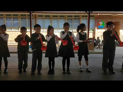 Baby Shark performed on pBuzz