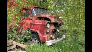 Abandoned car (Old truck under the tree) Belgium Apr 2024 (urbex lost places België cars trucks)