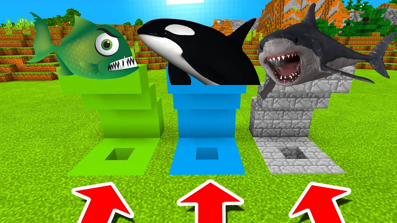 Minecraft PE : DO NOT CHOOSE THE WRONG HOLE! (Piranha, Orca & Megalodon) -  YouTube