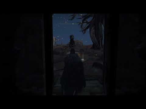 ELDEN RING™ I left the game for 10 minutes and come back to this.