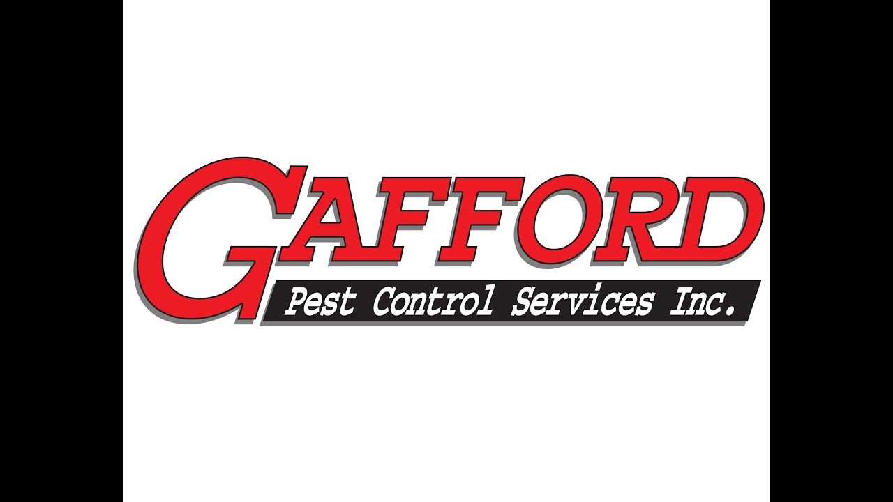 Gafford Pest Control 'Cockroaches' TV Commercial YouTube