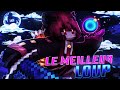 Le meilleur loup lg uhc