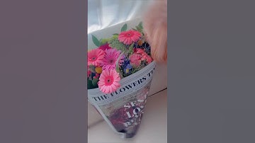 I don’t chase flowers…They bloom for me. 🌸🪻🌷🌻🌼💐