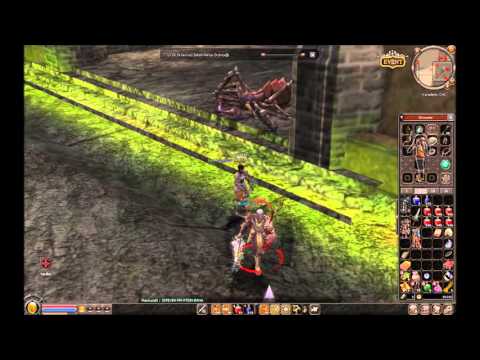 Metin2 Wall Hack