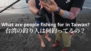 Mapping Fish Distribution Through Anglers’ Catches：休日の釣果から地域魚類を探る ｜台湾釣り人チェック企画 Vol.1