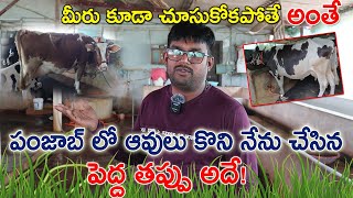 పంజాబ్ లో ఆవులు కొని నేను చేసిన పెద్ద తప్పు అదే!  Punjab Cows | చూస్కొని కొనండి | CBNewsHyderabad