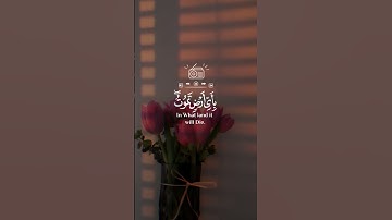 #آيات #القرآن_الكريم #اسلام_صبحي #اسلاميات #القران_الكريم #قران #قرآن #آية #تصبحون_على_خير 🌿💕