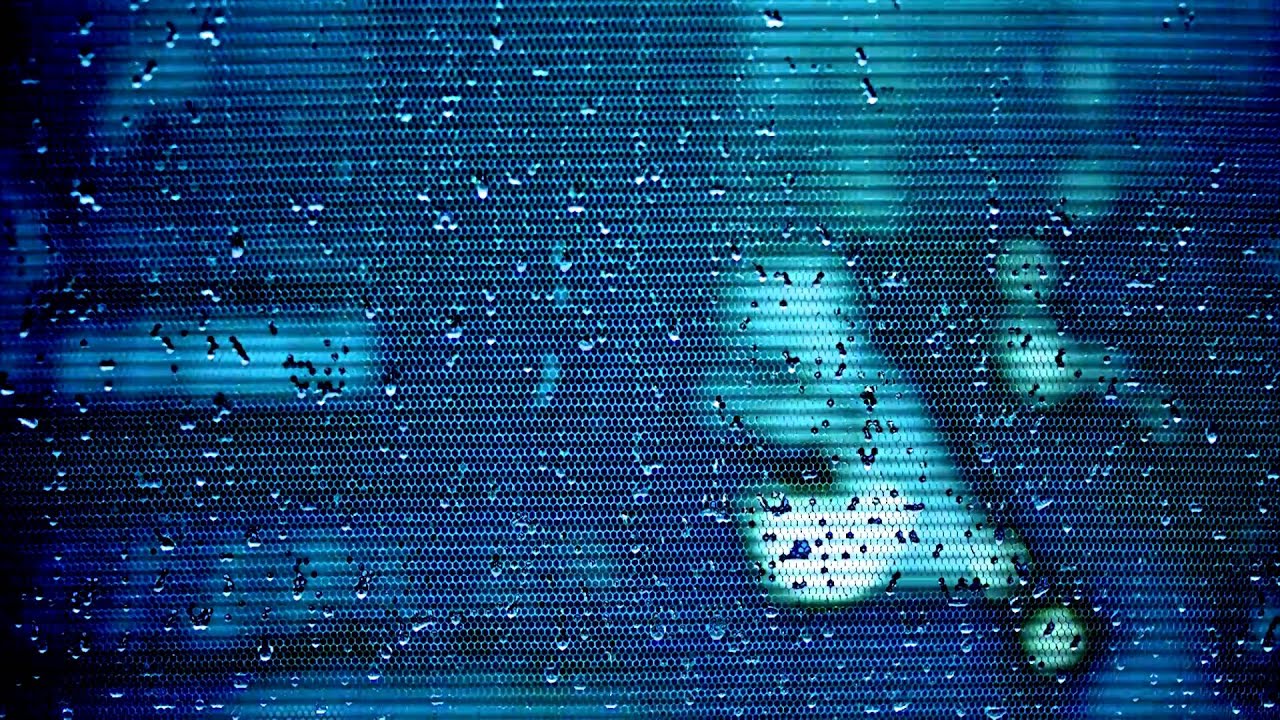 Guarda B. Fleischmann - Le Matin su YouTube Guarda B. Fleischmann - Le Matin su YouTube