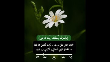 قران كريم بصوت القارئ: ماهر المعيقلي 💚🌱 أجمل حالات واتس اب دينية🕊 تلاوة تريح النفس ارح سمعك وقلبك