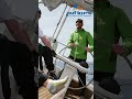 Auf Kurs | Segeln in Kroatien