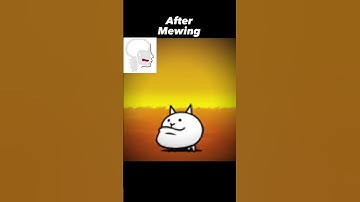 🤫🧏‍♂️ - Battle Cats #memes #edit #fypシ #shorts #thebattlecats