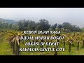 DIJUAL TANAH MURAH SUDAH ADA KEBUN BUAH NAGANYA, COCOK UNTUK PERKEBUNAN DAN INVESTASI LAINNYA