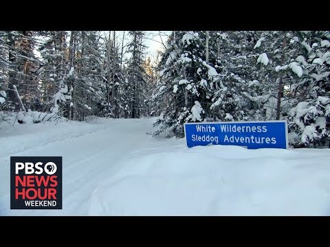 Warmer winters put Minnesota dog sledding at risk