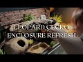 Leopard gecko enclosure refresh  rosies reptiles