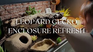 Leopard Gecko Enclosure Refresh - Rosie's Reptiles