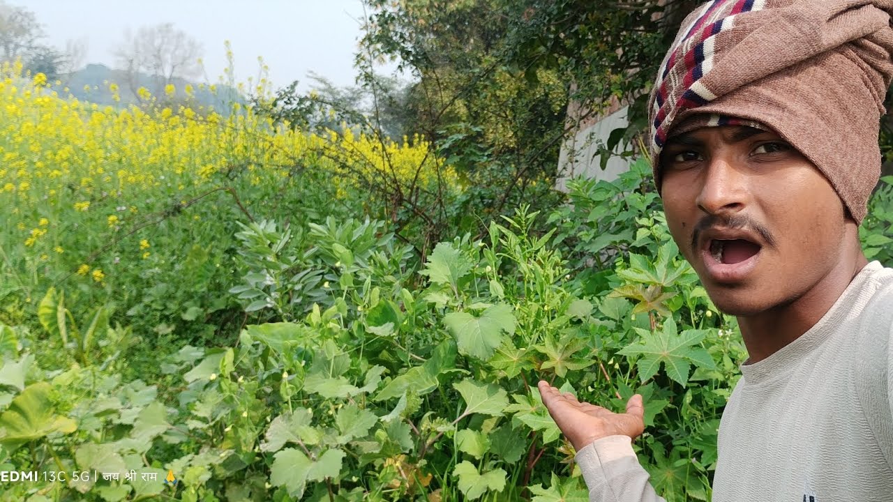 घर के पीछे बहुत ज़्यादे घास उग गया है 😮