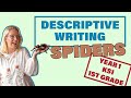 Descriptive Writing SPIDERS // Year 1 KS1 1st Grade Writing