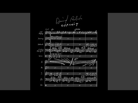 David Rubato — Circuit (Extended Live Take)