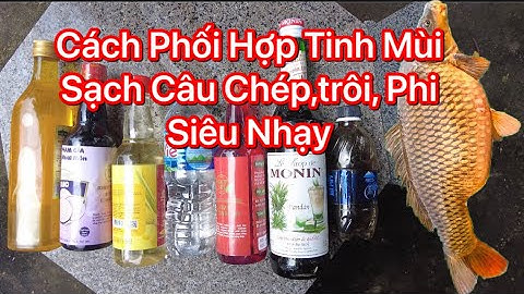 Cách Phối Hợp Tinh Mùi Sạch ,Câu Cá Chép, trắm , trôi Phi ,siêu nhạy