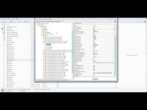 How to acess DX message broker using Jconsole