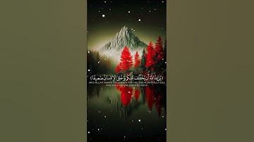 #تلاوة_مباركة #BlessedQuran #IslamicReminders#HolyQuran #القرآن_الكريم.كل تلاوة ترفعك درجة، #اكسبلور