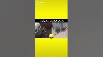 Shorts Chouftv 2022 عاجل شوف تيفي لايف 
