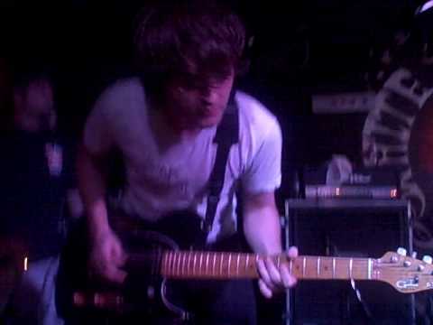 dave white rabbit