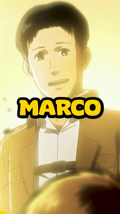 Did You Know This About Marco Bodt?