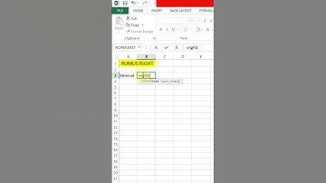 Dasar Excel Rumus Right