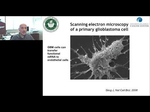 Vidéo: Microenvironnement Tumoral Hypoxique Orchestré Par Exosome