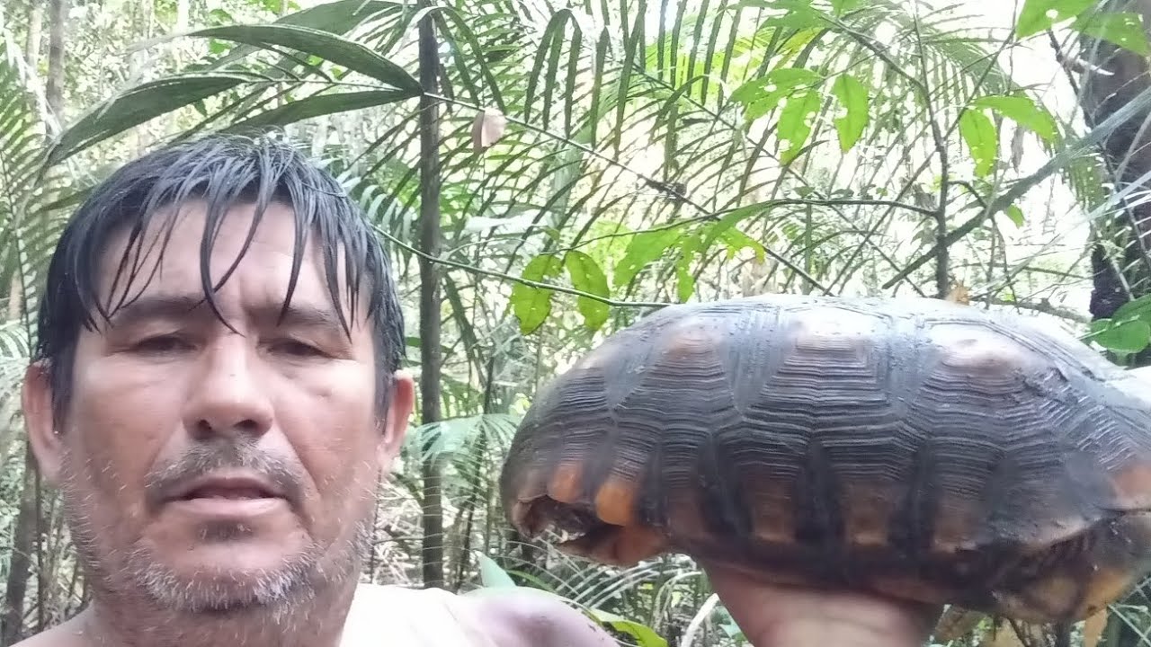 Passei mais uma noite na floresta amazônica - YouTube