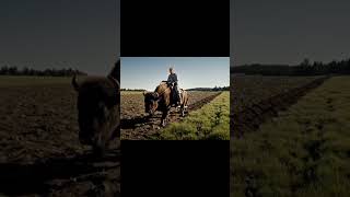 Вспахивание Поля