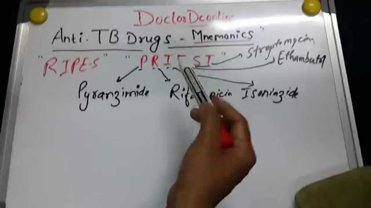 Zyrtec d 24 hour cvs