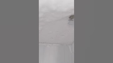 scraping freezer frost with a spatula #shorts