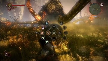 The Witcher 2 - Kayran (how to kill) (by SinthoAbled)