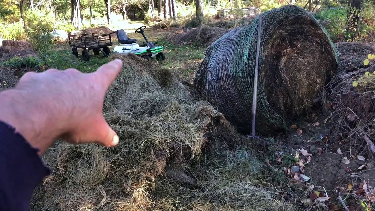 Hugelmounds - Fall Efforts for Spring Bounty