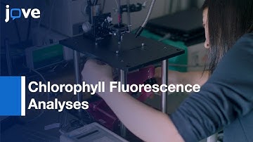 Evaluation-Photosynthetic Behaviors: Simultaneous Measurements-Leaf Reflectance l Protocol Preview