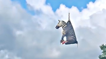 UNUSUAL MEMES COMPILATION V324