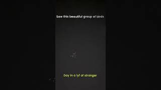 Download Lagu Day in a lyf of stranger ❄️🤍 MP3 Download Lagu Day in a lyf of stranger ❄️🤍 MP3