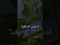 الله اكبر محبتكم تسعدني بارك الله فيكم قالب عربية اکسبلور Foru قوالب قران كريم Islamicvideo