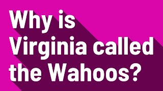 Why is Virginia called the Wahoos?