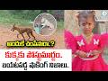 కుక్కకు పోస్టుమార్టం.. | Kakinada Jahnavi Missing Case | Dog Post-Mortem Report | | #IDreamPost