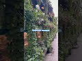 Красота на Болотной площади #Moscow #Москва#лето