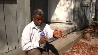 Interview interrupted by gunfire