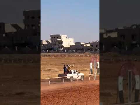 الحصان العربي الأصيل ابو زيد أصايل بلادي الجواد رقم اربعه في مضمار حماة ١٥ سبتمبر ٢٠٢٣